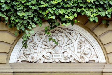 bir kemer ve yeşil yaprakları ile yaprak döken bir bitki ile büyümüş bir desen ile modelleme ile taş çit.