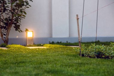 çim ve ahşap yeşil bitkiler ile arka bahçesinde iz aydınlatma metal zemin fener.