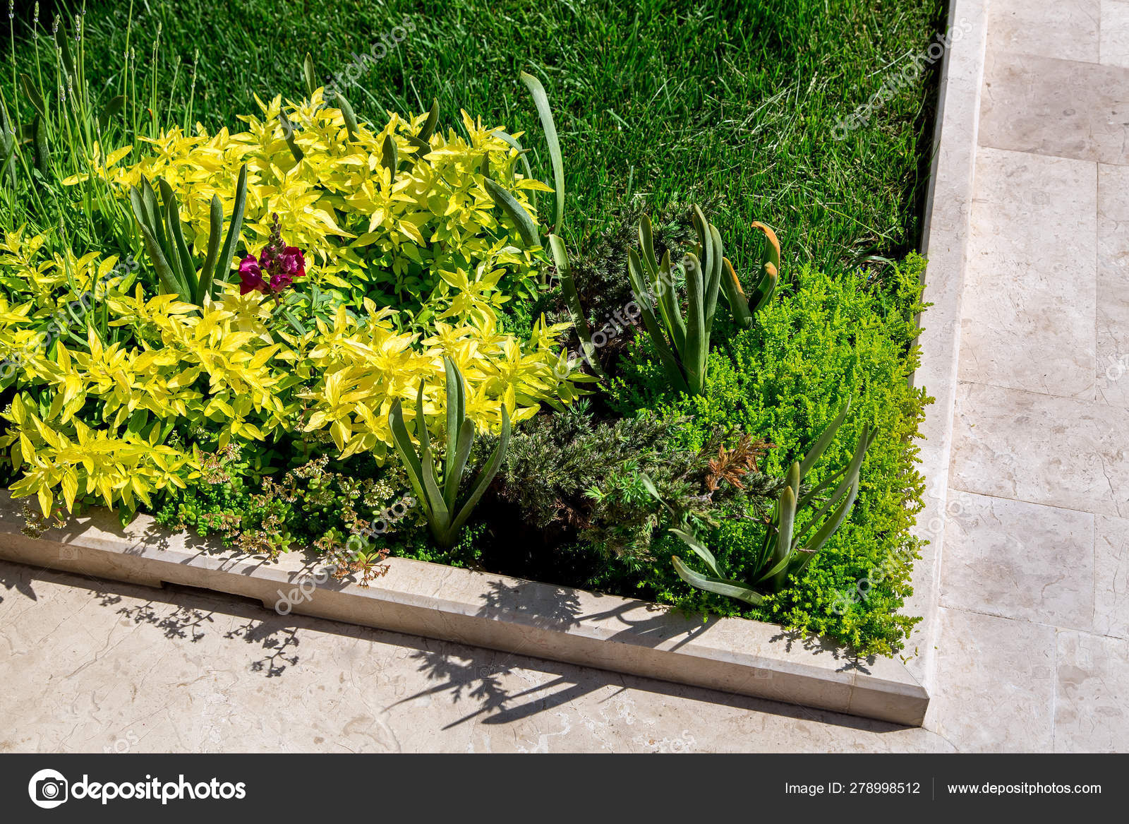 Marble Walkway Border Plants Growing Lawn Flower Bed Closeup Details Stock Photo Image By C Bespaliya 278998512