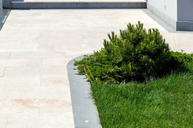 konağın arka bahçesinde güneşli bir yaz gününde yeşil çim ve çam bitkileri ile gri bir taş kaldırım ile mermer fayans yürüyüş yolu.