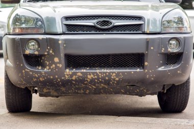 çamur lekeli tampon ile bir Suv kirli araba ön görünümü, yakın.