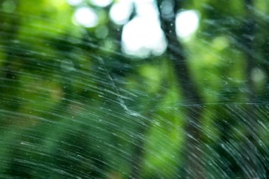 araba silecekleri tarafından bulaşmış çamur kirli bir arabanın ön cam ı.