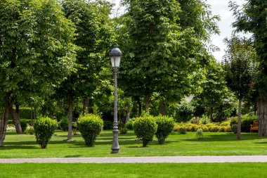 ağaçlar ve farklı bitkiler, yaz çevre dostu arka plan ile bir bahçede retro tarzında bir fener ile bir sokak yolu ile eğlence parkı.