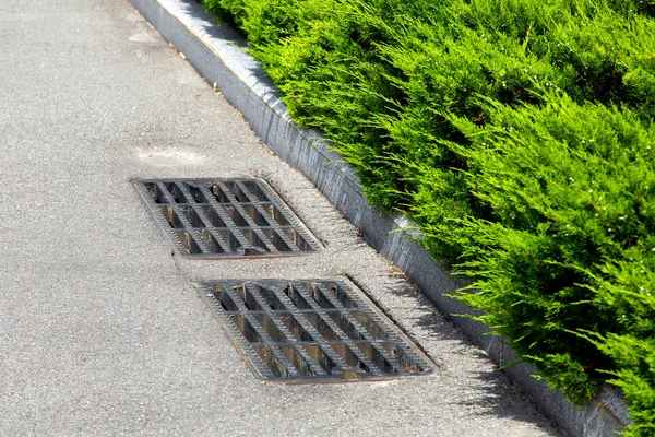 常緑のトゥジャとの国境付近の格子嵐システムを持つ視点でアスファルト道路 — ストック写真