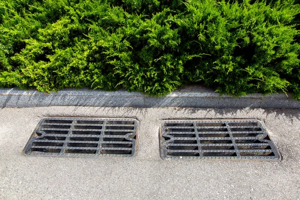 Manhole Lattice Storm System Curb Asphalt Road Plantings Green Thuja — Stock Photo, Image