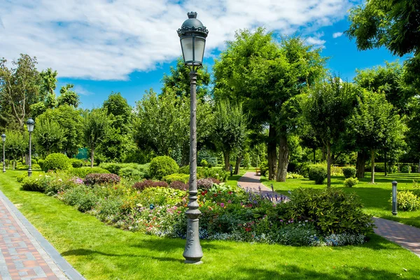 Park Has Walkways Growing Plants Flower Beds Green Bushes Trees — Stock Photo, Image