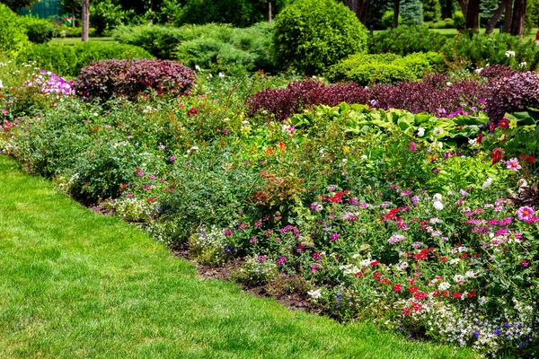 Aménagement Paysager Parterre Fleuri Avec Différentes Fleurs Buissons Près Pelouse — Photo