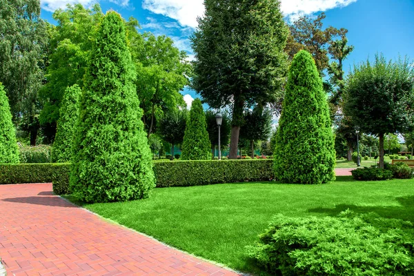 화창한 잔디와 정원에서 투자와 덤불의 울타리와 — 스톡 사진