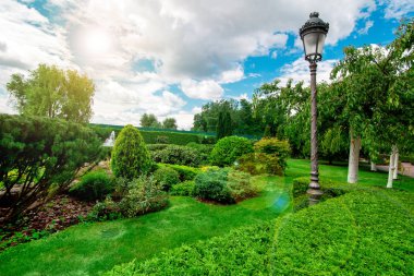 thuja çit ve gökyüzünde bulutlar ve güneşli parlama ile bir retro sokak fener ile farklı bitkiler ile peyzaj tasarımı.