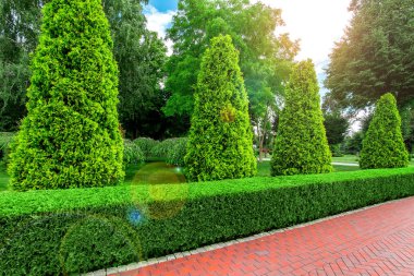 Gökyüzünde çalı thuja ve güneş parlaması kırmızı kiremit ve dökmeyen çit patikalar ile Park peyzaj tasarımı.