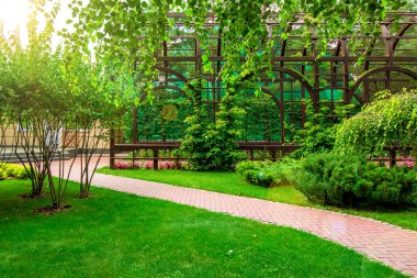 arka bahçesinde ahşap çerçeve kemerli arka plan çardak yeşil çim ve çalılar ile patika.