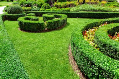 yeşil çim ile çiçek tarhı ve çim ile kesilmiş boxwood peyzaj tasarımı çit.