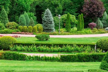 Bir yaz gününde çalılar ve ağaçlar ile peyzaj tasarımı arasında yürüyüşler için yürüyüş yolları ile boş park, kimse.