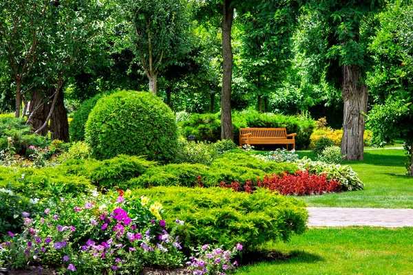 リラックスするための木の下の日陰にパスと空の木製のベンチと夏の公園で植物と花壇 — ストック写真