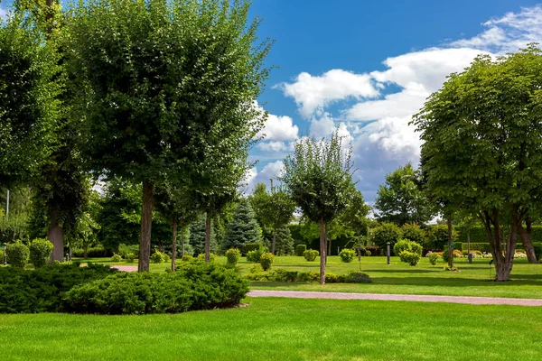 Parque Ecológico Con Una Pasarela Con Claro Verde Jardín Con — Foto de Stock