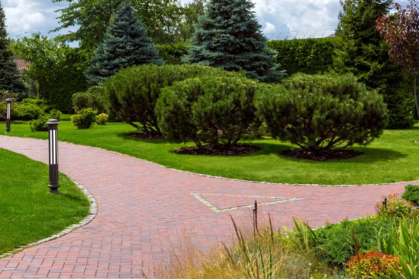 Intersection Footpaths Paving Slabs Walks Park Green Lawns Pine Trees — Stock Photo, Image