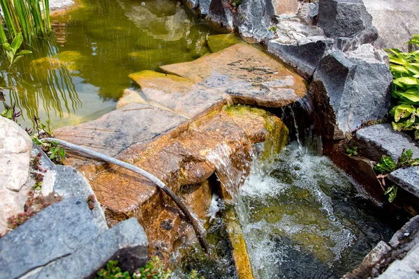Cascada Piedra Estanque Artificial Con Agua Corriente Patio Trasero Día — Foto de Stock