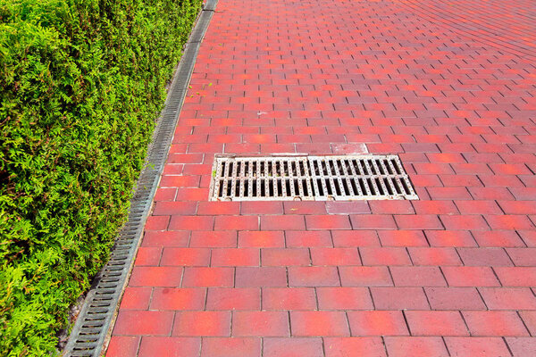 дренажная система для канализации ливневой воды с пешеходного тротуара вдоль изгороди вечнозеленой туи
.