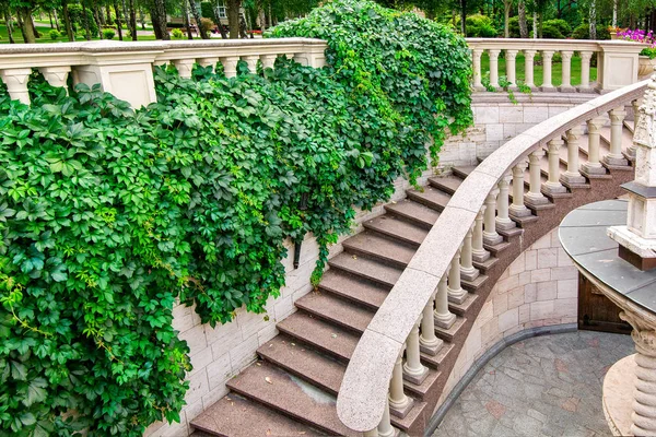 granite staircase with railings and balustrades downhill along a stone wall with a curly green plant in a garden with trees.