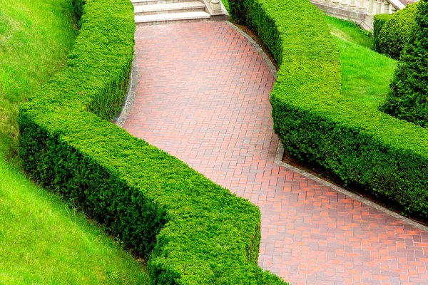 curved footpath made of red stone tiles for walks in the garden with a hedge of evergreen trimmed bushes, on the summer day nobody.