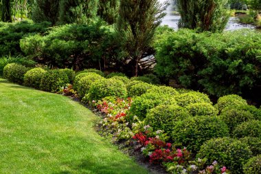 yeşil alanlarda çiçek yatağı ile bakımlı park, bitkiler ile güneşli yaz parkı çayır, kimse.