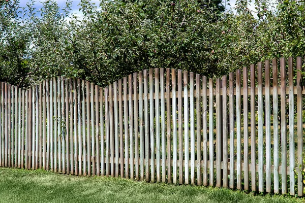 Wooden Fence Apple Orchard Sunny Summer Day Nobody — Stock Photo, Image