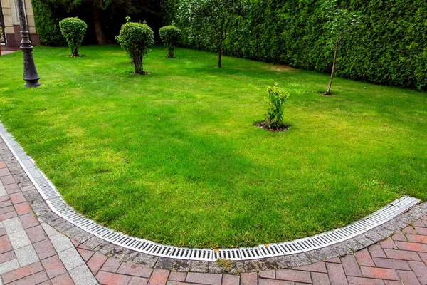 curved iron grid drainage system in the backyard by the green lawn with tree and footpath of red paving slabs.