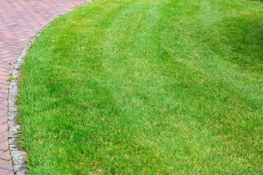 taş kiremit yapılmış yaya kaldırımı yakınında parkta bir çim ile yeşil çayır, kopya alanı ile closeup.