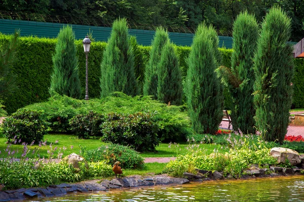 landscape design of a park on the lake with a stone shore and a wild duck sitting on land, a lamppost with a lantern among bushes and trees on a sunny summer day.