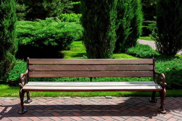 背景の緑のスペースで赤いタイルで作られた歩道に鉄の足を持つ茶色の木製のベンチはよく晴れた夏の日にトゥジャの茂みと緑の芝生と庭を維持しました — ストック写真