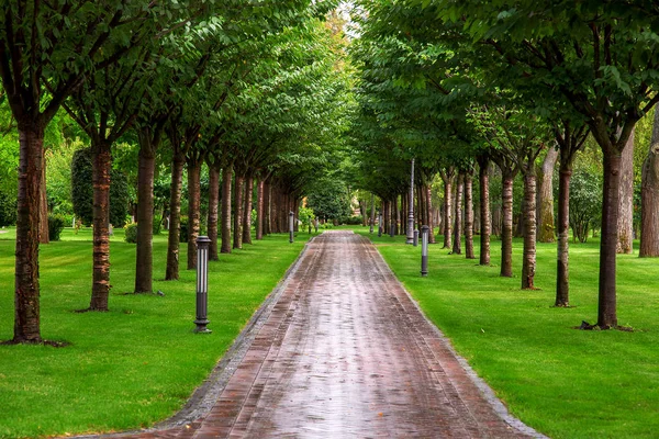 Pedestrian Walkway Made Tiles Leaving Perspective Park Walkway Ground Lights — Stock Photo, Image