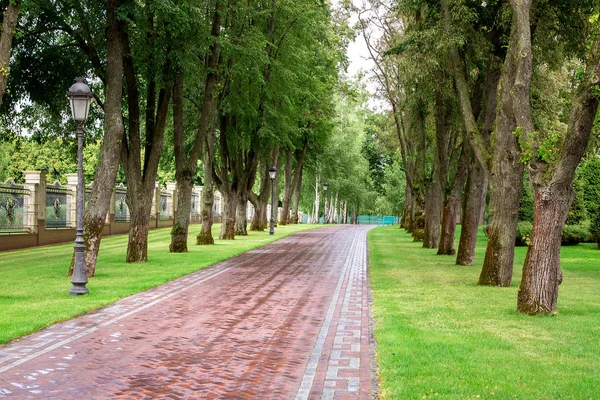 Bien Cuidado Parque Con Grandes Árboles Hoja Caduca Plantados Simétricamente — Foto de Stock