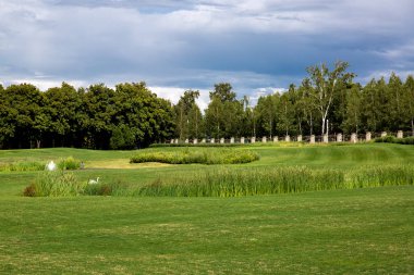 Yeşil çim ve ağaçlar ve mavi bulutlu gökyüzü ile bir orman çit arkasında arka planda sazlık ile tepelik bir glade Peyzaj.
