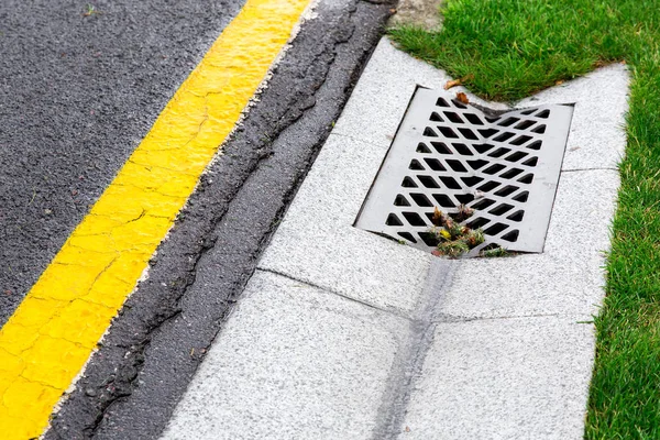 drainage system edge tray with concrete grate for rainwater drainage into the sewer on tarmac road with a yellow marking and a green lawn.