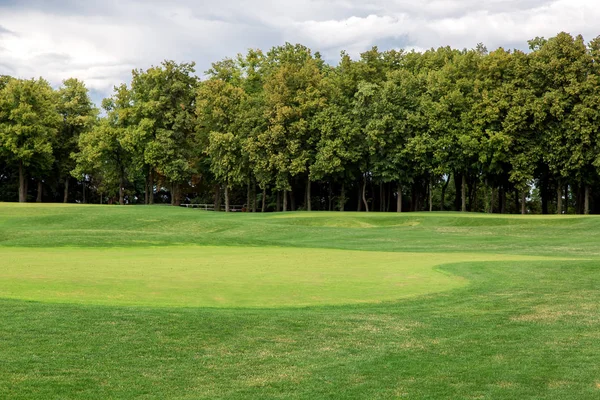 Landskap Kuperad Äng Miljö Med Grönt Gräs Och Lövskog Med — Stockfoto