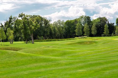 Güneşli bir yaz gününde, arka planda sazlıkların ve ağaçların olduğu çayırda yeşil bir çimenliği olan bir tepelik..