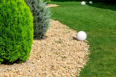 the landscape design is scattered with stones in which evergreen thuja bushes grow and along the edge is a green lawn with a white round ground lamp. clipart
