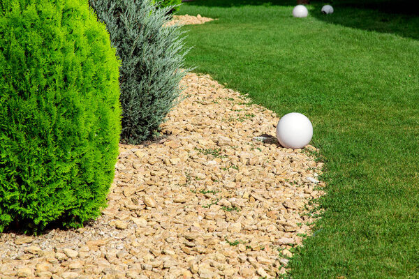 the landscape design is scattered with stones in which evergreen thuja bushes grow and along the edge is a green lawn with a white round ground lamp.