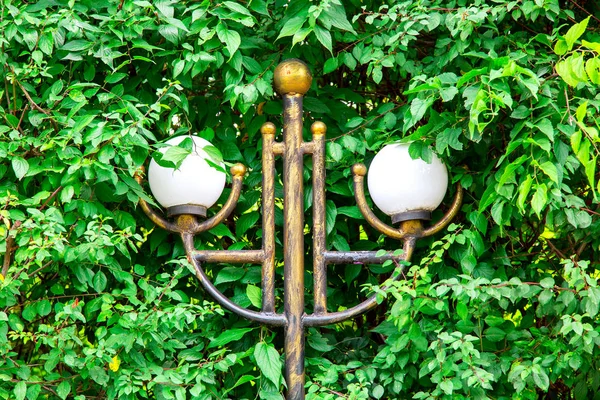 Pole Streetlamps White Balls Tree Branches Green Leaves — Stock Photo, Image