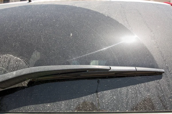 4の車の乾燥泥のリアビューでほこりに覆われたワイパーブレードを持つ汚れた車の後部窓誰も閉じます — ストック写真