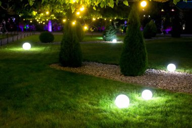 Aydınlatma arka bahçesi. Elektrik zemin feneri taştan saman ve bahçe çalı ile aydınlatma bahçesi. Açık arazide çelenk parkı, sıcak çelenk ampulleri, karanlık aydınlatma gece sahnesi..
