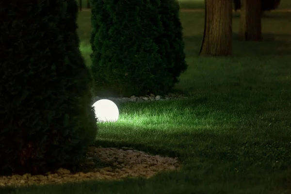 Illumination Backyard Light Garden Lantern Electric Lamp Diffuser Green Grass — Stock Photo, Image