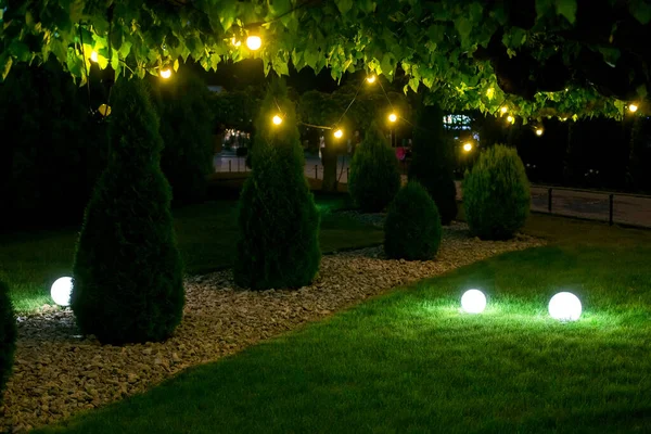 evening illumination backyard light garden with electric ground sphere lantern with stone mulch and thuja bush in landscaping park with garland of warm light bulbs, dark illuminate night scene nobody.