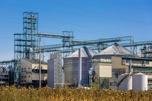 Edifício Planta Agrícola Com Tubos Tanques Ferro Para Secar Grãos — Fotografia de Stock