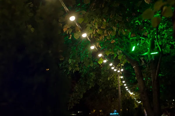 garden decorative lamps hang in a row on tree branches with green leaves in the backyard and glow with warm light in a romantic night atmosphere.