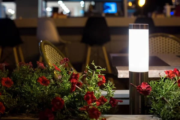 modern steel lantern with a white shade in a flowerbed with red flowers on the terrace of a street city restaurant night glow scene, nobody.