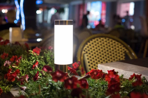 Lanterna Aço Moderno Com Uma Sombra Branca Canteiro Flores Com — Fotografia de Stock