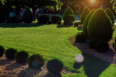 Kırpılmış thuja çalıları, yeşil biçilmiş çimlerin üzerinde çimenlik sarı taşla çimenlik, arka bahçedeki bir parkta küre feneri, akşam güneşiyle aydınlanan yeşil doğa ortamı, hiç kimse.