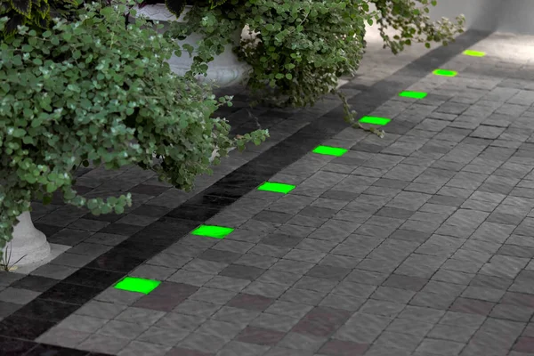 pedestrian walkway of stone tiles with square green ground lanterns set into the floor in a backyard with pots of deciduous plants, built in floor lamps.