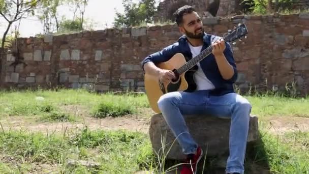 Genç Adam Bir Parkta Gitar Çalmak — Stok video